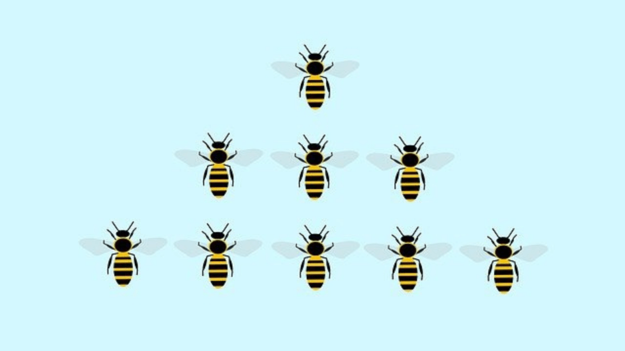 Developing a Lead Volunteer Model (AVM Replay) Association of