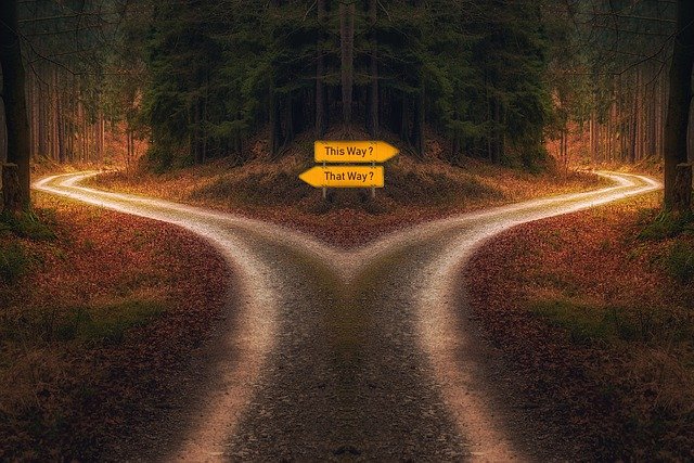 Two sign posts a fork in a path. The sign pointing right says 'This way?'. The sign pointing left says 'That way?'.