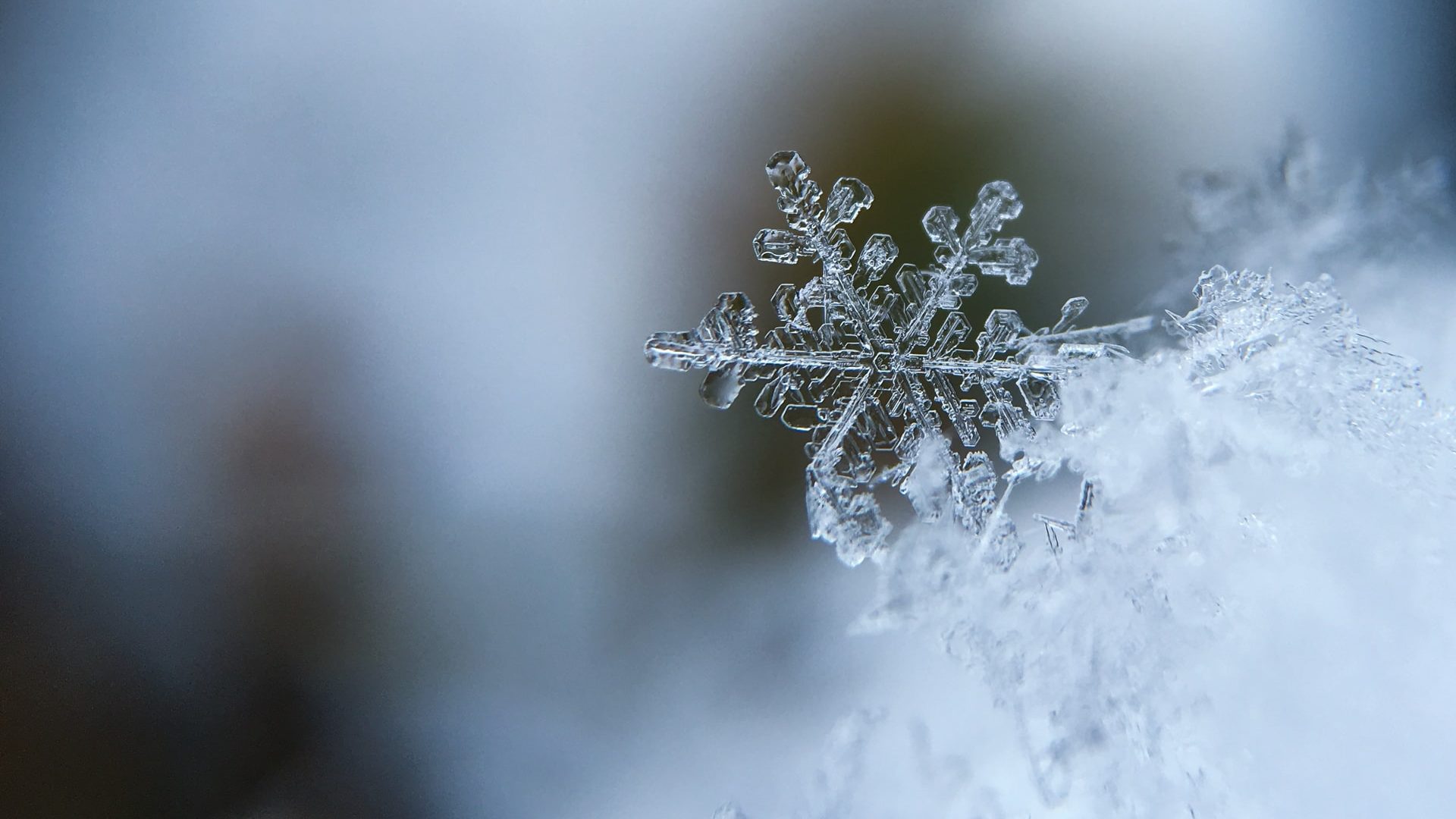 White snowflake.