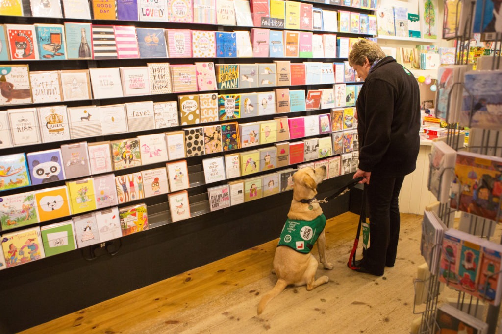 A Dogs for Good Assistance dog in training, sat looking up at a lady in a greeting card shop.