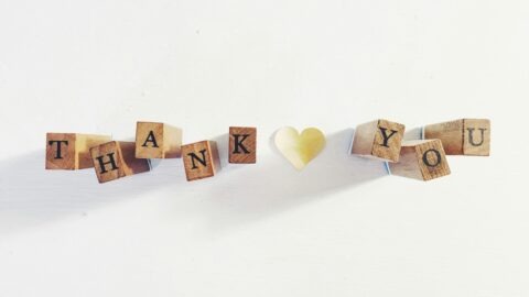 A Peek Behind the Scenes at AVM and Thank You to our Volunteers