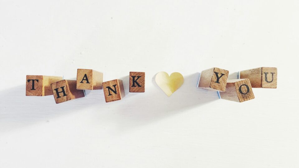 Volunteers’ Week: A Peek Behind the Scenes at AVM and Thank You to our Volunteers