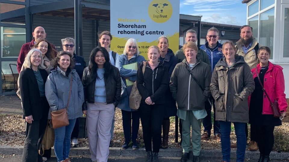 Peer Support Networking Meeting: South East England